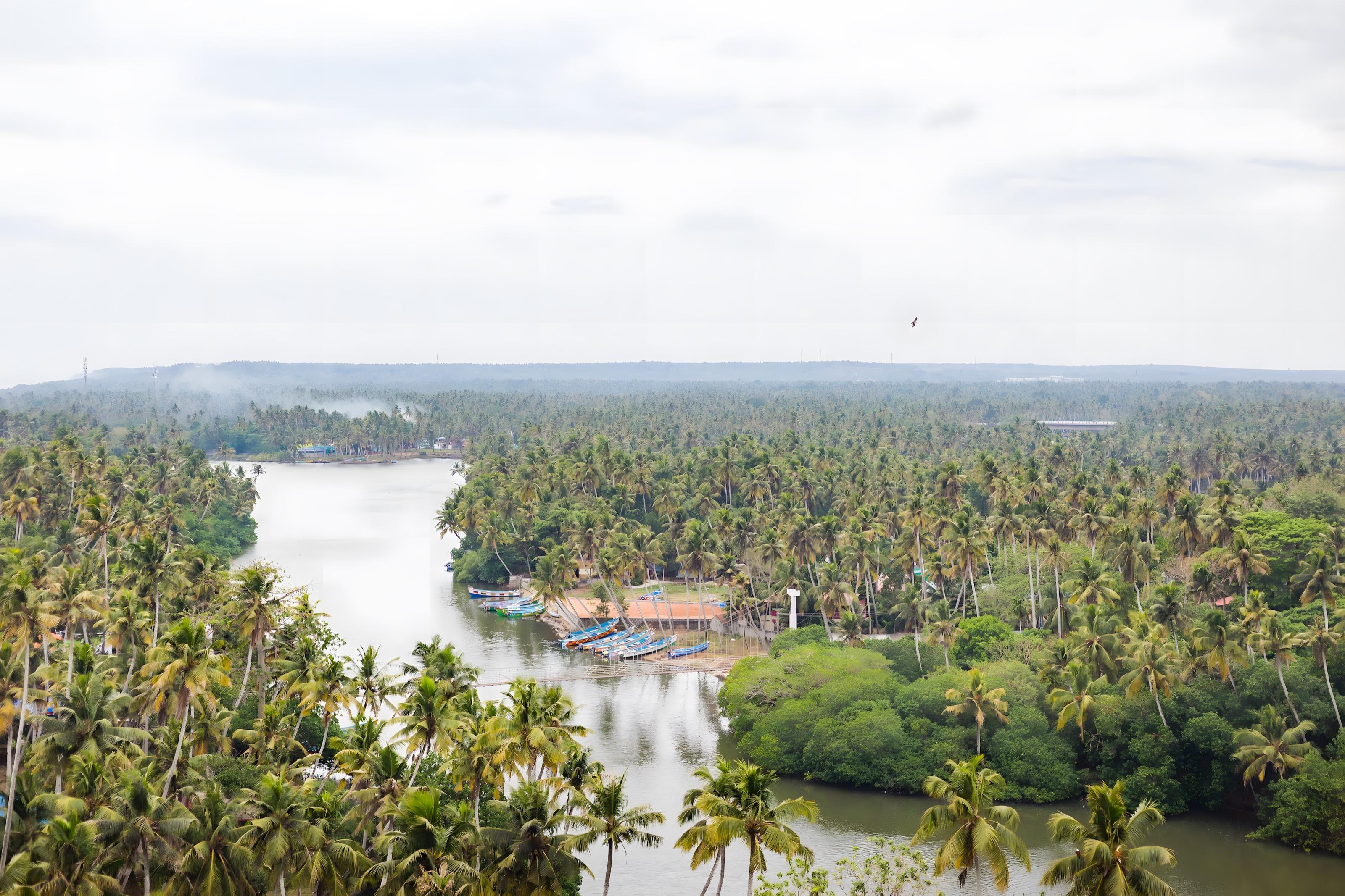 Mekosha Ayurveda Spasuites Retreat — photo 5