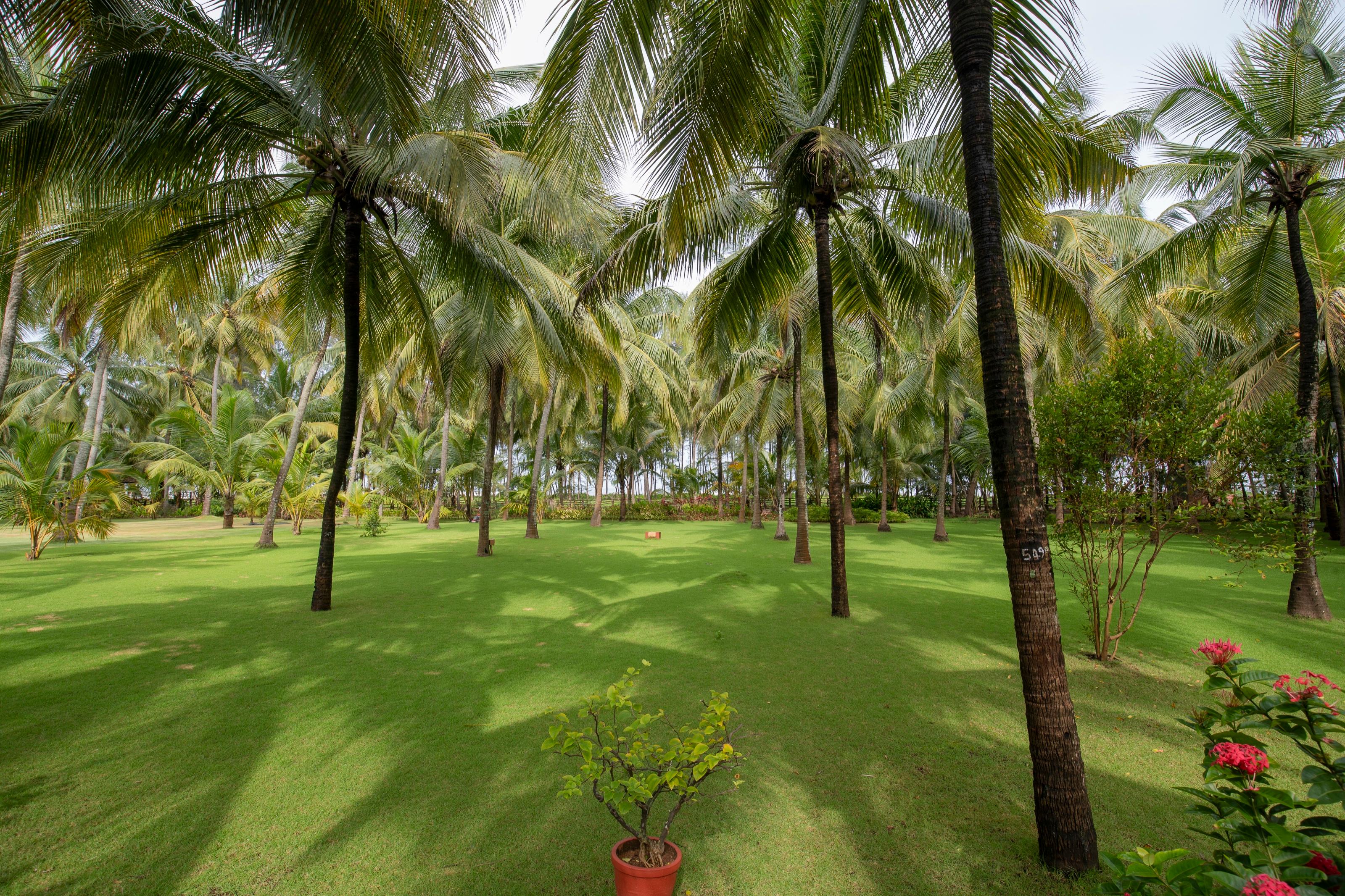 The Nattika Beach Ayurveda Resort
