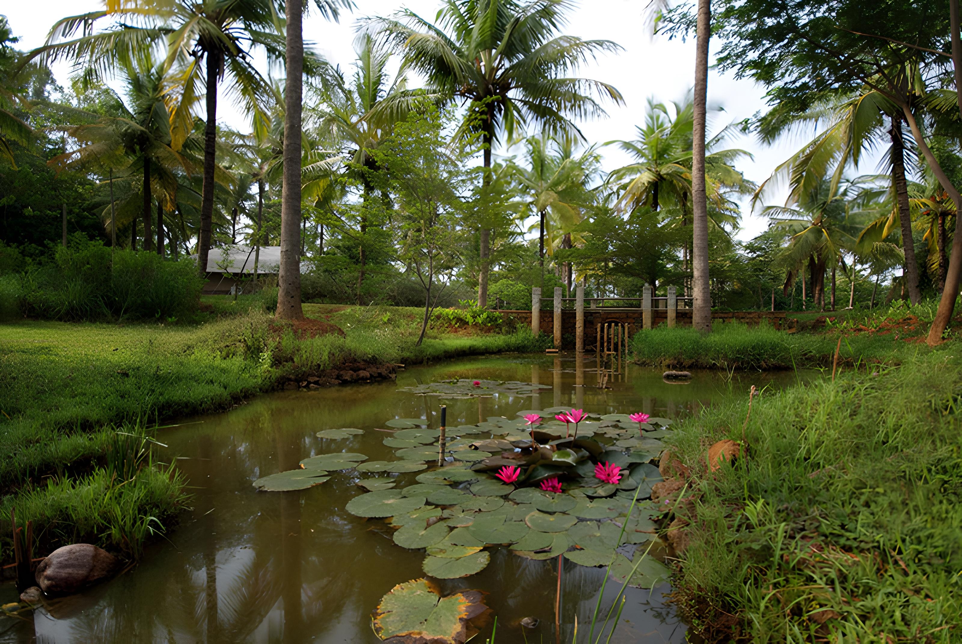 Shreyas Retreat — photo 3
