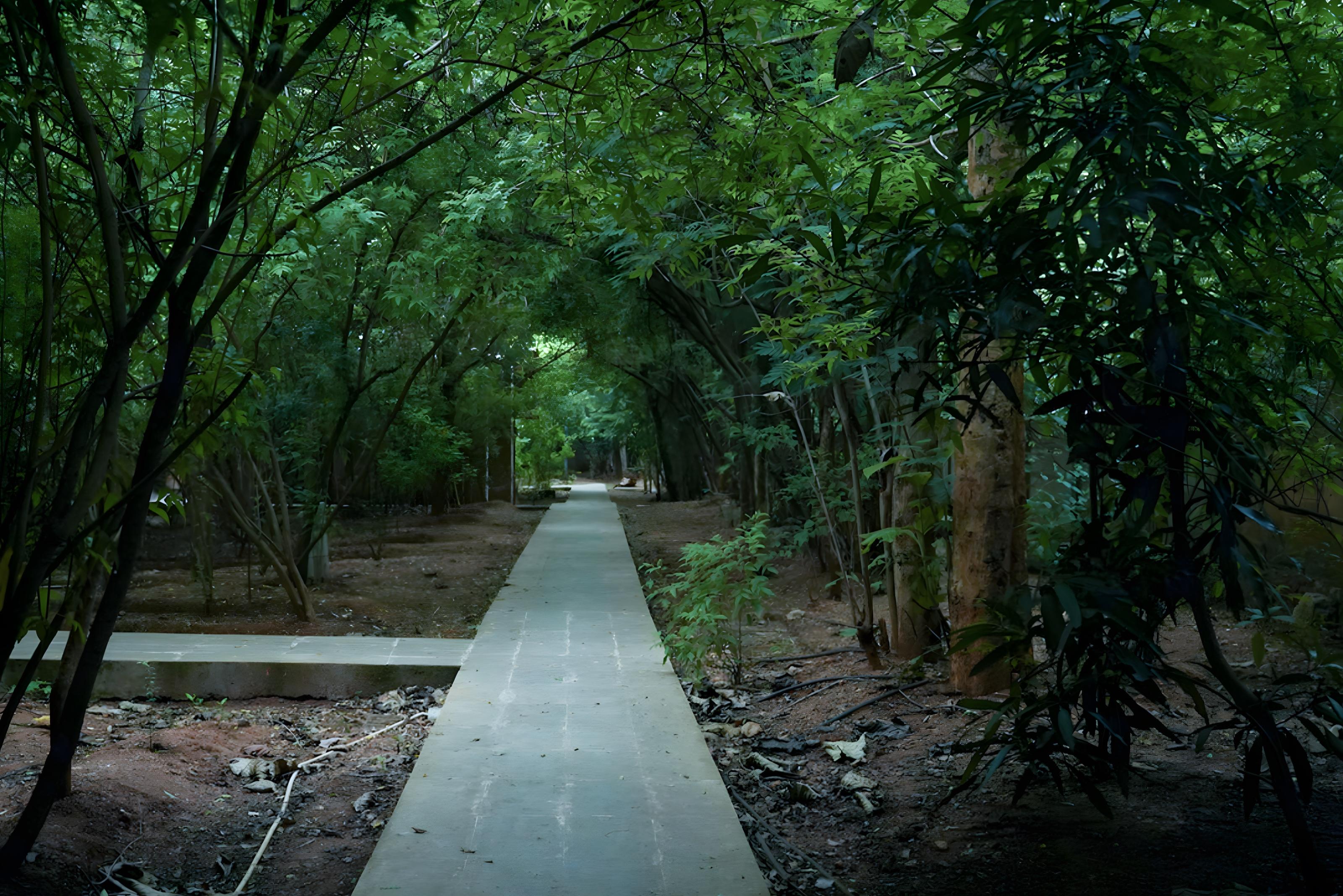 Vaidyagrama Ayurveda Healing Village — photo 5